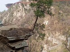 -少华山国家森林公园