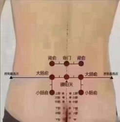 -香薇妮丝·定制减肥·身材管理
