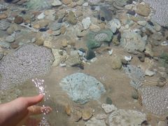 -白沙湾海滩