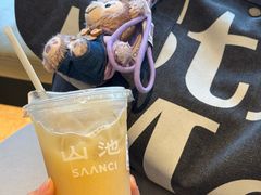 黄皮-SAANCI山池咖啡(海上世界文化艺术中心店)