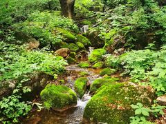 -三块石国家森林公园