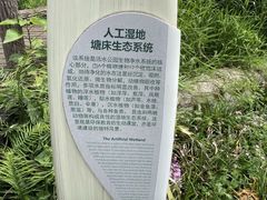 -成都市活水公园