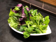 山茅野菜组合-滇釜火锅·能喝汤的火锅(车公庄店)