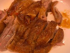 陈鹏鹏·金奖卤鹅-陈鹏鹏潮汕菜(宝安机场T3航站楼店)