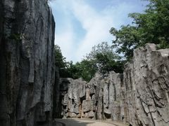 -巢湖姥山岛
