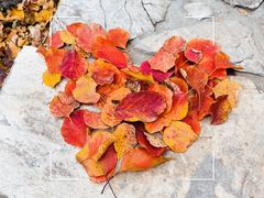 -周口店坡峰岭风景区