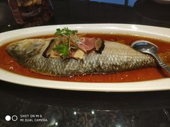 -丰收日(五角场店)