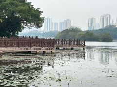 -南宁南湖公园
