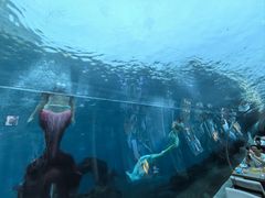 -海棠湾洲际-涛·海底餐厅·美人鱼·自助餐·海底隧道