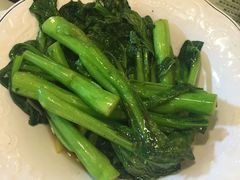 -翠华餐厅(湾仔店)