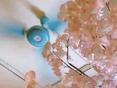 -金龙咖喱