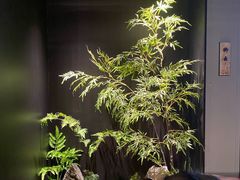 -宫燕府·京菜·烤鸭·淮扬菜(王府中心店)