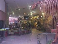 -陕西自然博物馆