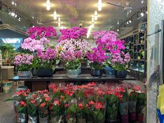 -双季花艺园艺市场(浦东店)