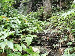 -佛山市三水区大南山森林公园