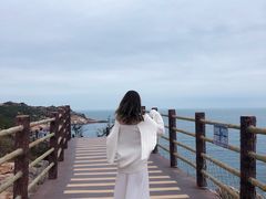 -广东惠东海龟国家级自然保护区