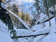 -峡谷浮石林景区
