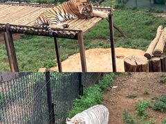 -云南野生动物园