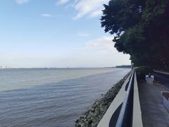 -大湾区中央湿地公园