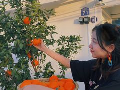 -Blue Concept Cafe&Farm·關於藍
