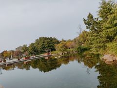 -白马涧龙池景区