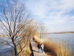 -野鸭湖国家湿地公园