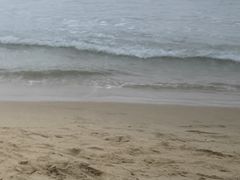 -晋元高级中学-游泳馆
