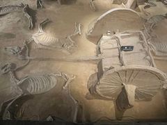 -洛阳周王城天子驾六博物馆