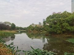 -艾溪湖湿地公园