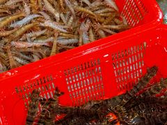 -隆都四季香饭店(碧海路店)