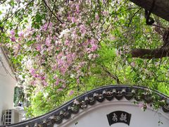 -深圳国际园林花卉博览园