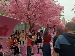 -东莞松山湖万象汇