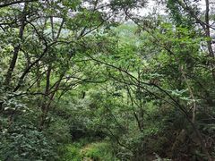 -云峰山自然风景区