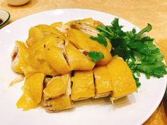-瑞记湛江鸡饭店·粤西第一鸡(粤垦店)