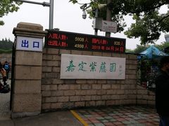 -嘉定紫藤园