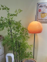 -变美丽半永久纹眉连锁·机器野生眉•洗眉
