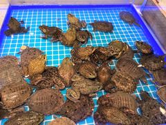 -藜爱·山海情海鲜自助(万达广场店)