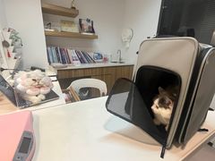 -御宝贝·A梦猫科宠物医院(国际猫友好医院)