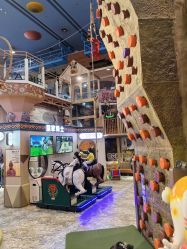 -卡通尼·Safari非洲探索乐园·生日会(金桥国际商业广场店)