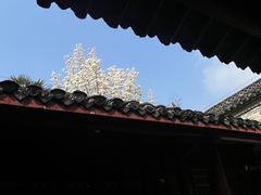 -水绘园