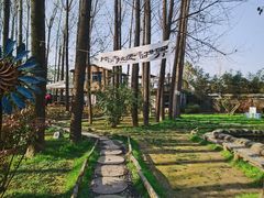 -林间山庄