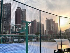 -福田红树林生态公园