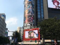 -涩谷区