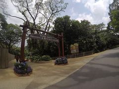 -新加坡飞禽公园
