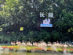 -广州长隆飞鸟乐园