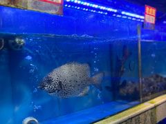 -东江海鲜大排档·潮汕菜·砂锅粥