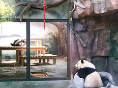 -苏州太湖国家湿地公园