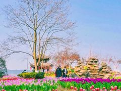 -都江堰玫瑰花溪谷