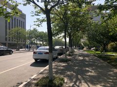 -西安外国语大学-学生食堂(栾树大道店)