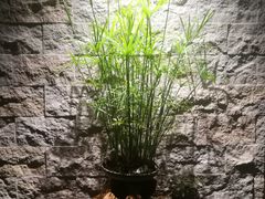 -古京·臻致料理(月湖店)